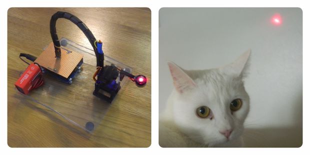 cat laser robot