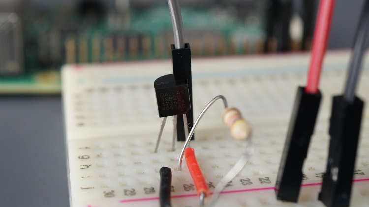 ds18b20 temperature sensor with raspberry pi