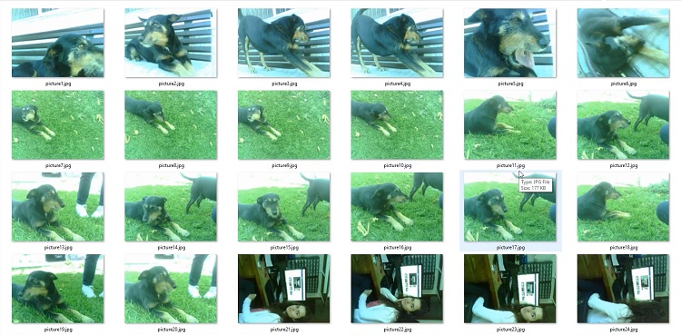 ESP32-CAM photo pictures examples saved in MicroSD Card