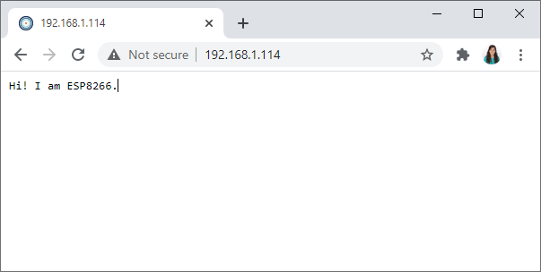 ESP8266 Async ElegantOTA Demo Example Web Server Root URL