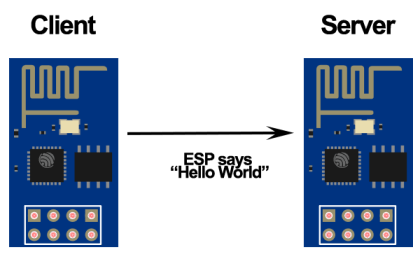 esp client vs server
