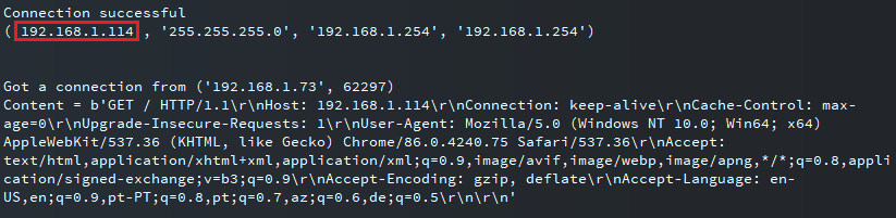 ESP32 ESP8266 MicroPython IP Address