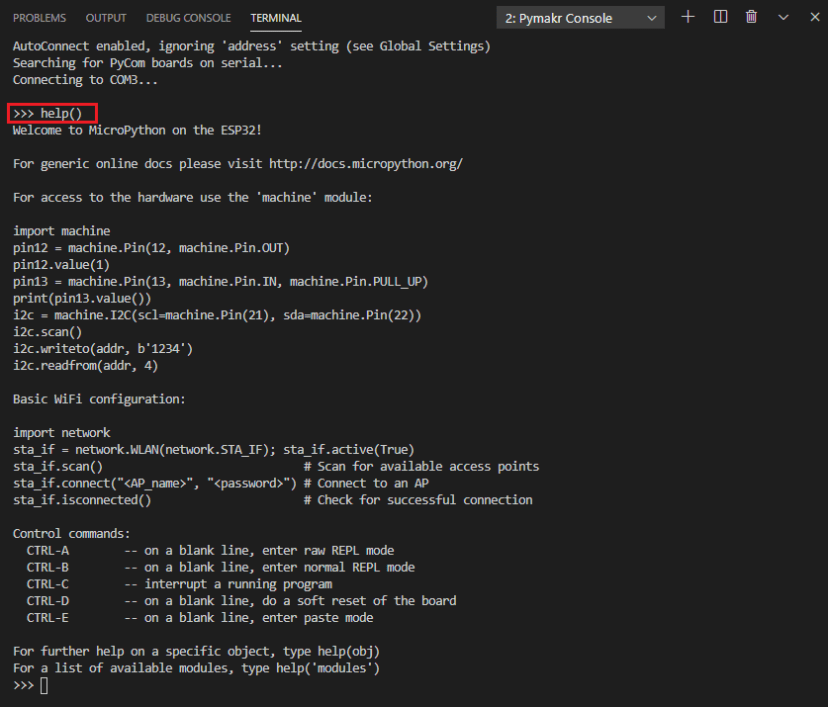 Pymakr pymark.json console window terminal help run commands