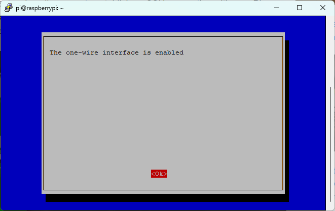 one wire is enabled on Raspberry Pi