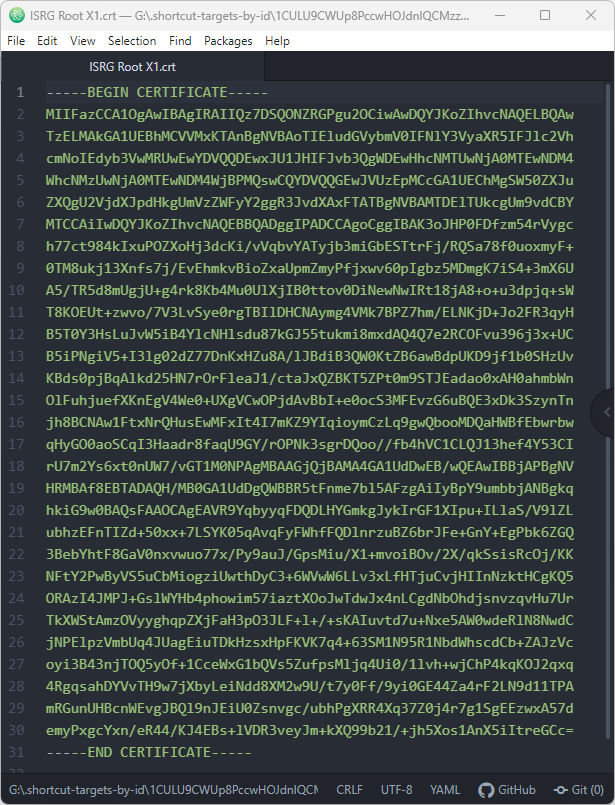SSL certificate notepad